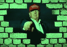 green wall against Trump, From ImagesAttr