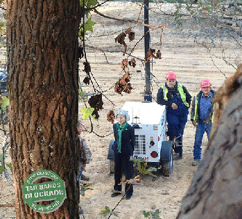 Dr. Jill Stein in handcuffs from the trees, From FlickrPhotos