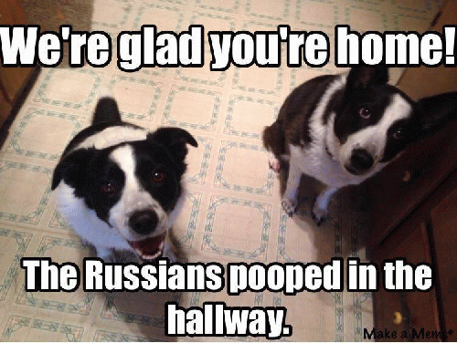The Russians pooped in the hallway.