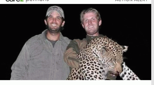 Trump's sons like to kill endangered animals