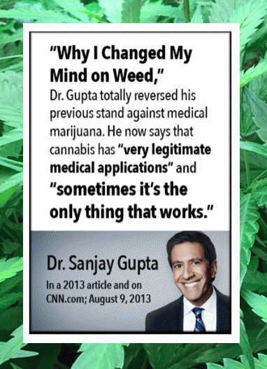 Quotation by Dr. Sanjay Gupta