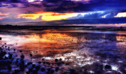 horizon, From FlickrPhotos