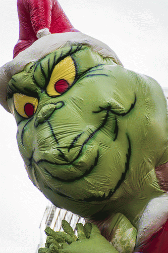 Mr. Grinch, From FlickrPhotos