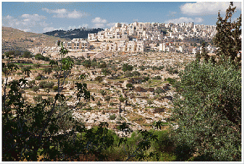 Ilegal Settlement, From FlickrPhotos
