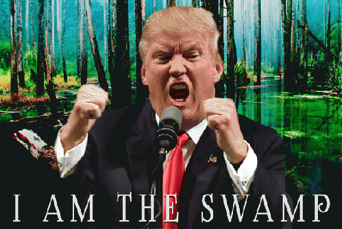 I AM THE SWAMP