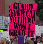Keep Trump's hands off your cat!, From ImagesAttr