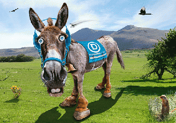 Democratic Donkey - Caricature, From FlickrPhotos