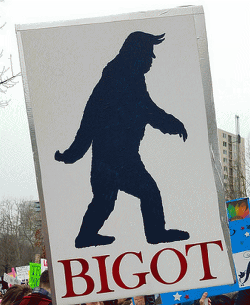 sign at Women's March, From ImagesAttr