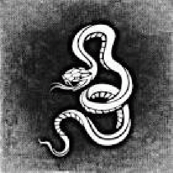 Free illustration: Snake, Dangerous, Background - Free Image on ...720 Ã-- 720 - 303k - jpg