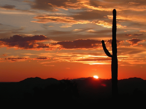 Sonoran Sunset, From ImagesAttr