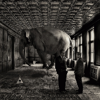 The Elephant is Always in the Room.
