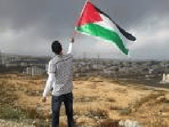 Palestinian youth waving flag, From GoogleImages