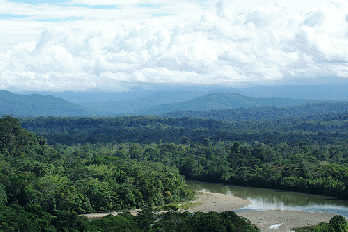 Ecuadorian Amazon rain forest, looking toward the Andes, From FlickrPhotos