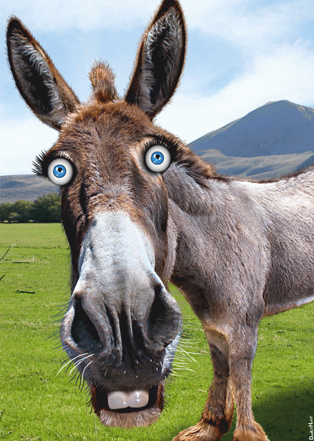 Democratic Donkey - Caricature, From FlickrPhotos