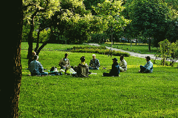 Meditation, From FlickrPhotos