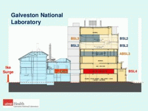 Schematic design of Galveston National Laboratory.