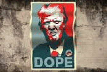 Donald Trump Wall, From GoogleImages