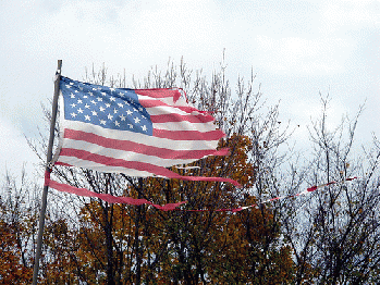 From flickr.com: very old glory, From Images