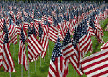 American Flags, From GoogleImages