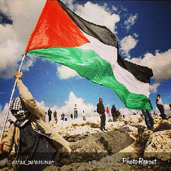 Liberate Palestine, From FlickrPhotos