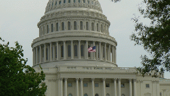 From flickr.com: the Congress, From Images