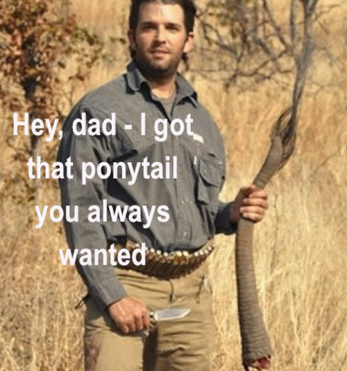 The Trump Sons Enjoy Killing Endangered Animals