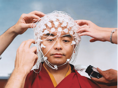 Wired for Meditation, From ImagesAttr