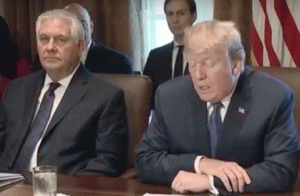 President Trump speaking at a Cabinet meeting on Nov. 1, 2017, with Secretary of State Rex Tillerson to Trump's right and son-in-law Jared Kushner seated in the background.