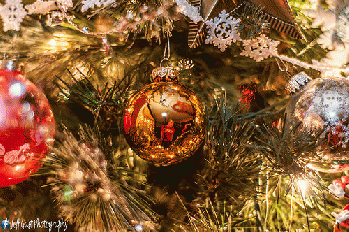 christmas decorations, From FlickrPhotos