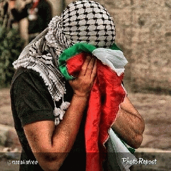 GAZA Invasion 2014, From FlickrPhotos
