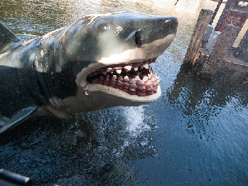 Jaws!, From FlickrPhotos