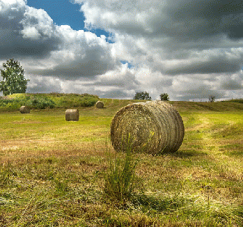 Farmers Dream