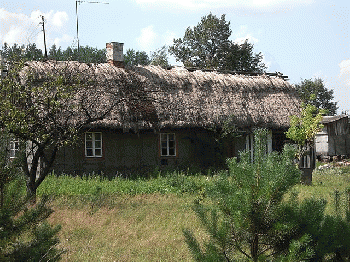 The old thatched roofed hut - panoramio