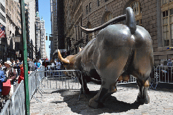 Kiss My Bull