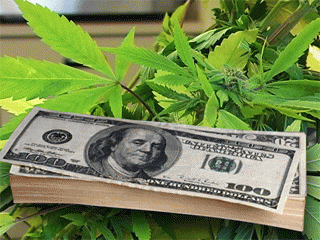 The problem of cannabis cash, From ImagesAttr