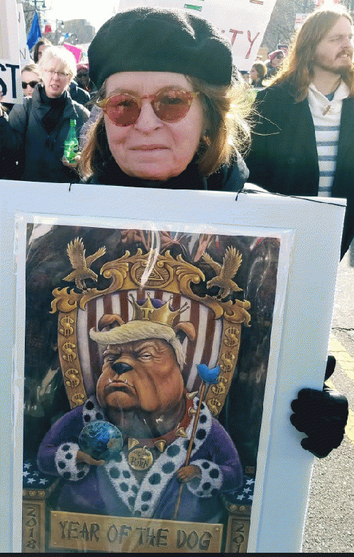 Protester at 2018 Philadelphia Women's March, From ImagesAttr