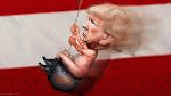 Donald Trump - Riding the Wrecking Ball | Donald John Trump,. | Flickr1024 Ã-- 576 - 142k - jpg Donald Trump - Riding the Wrecking Ball | Donald John Trump,. | Flickr1024 Ã-- 576 - 142k - jpg
