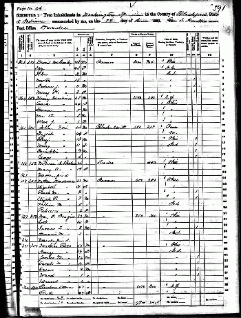 US Census 1860 Dundee Roll