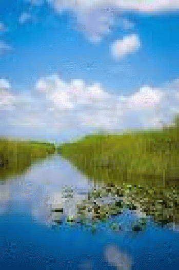 Free photo: Miami, Usa, Everglades, River - Free Image on Pixabay ...477 Ã-- 720 - 96k - jpg, From GoogleImages