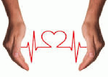 Free illustration: Heart Care, Medical, Care, Heart - Free Image ...960 Ã-- 678 - 79k - jpg, From GoogleImages