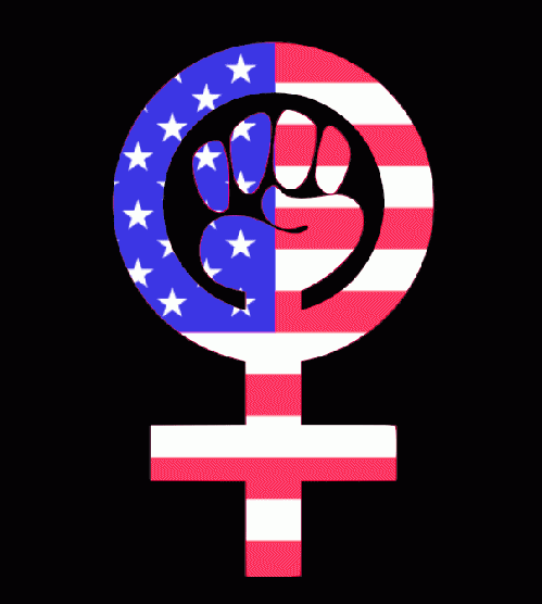 Women's Self Empowerment in American Politics