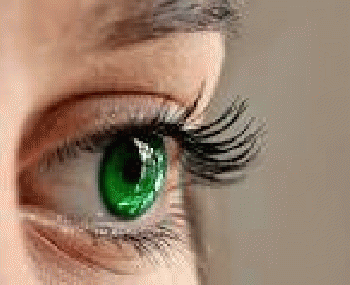 Free photo: Eyes, Green, Close, Eyelashes - Free Image on Pixabay ...887 Ã-- 720 - 121k - jpg