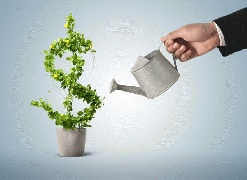 How to make money grow, From ImagesAttr