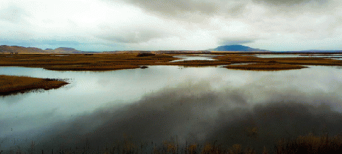 In 2016 Klamath Basin National Wildlife Refuge Complex in California and Oregon was sprayed with 236,966 pounds of pesticides.