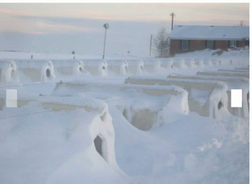 Calves shiver alone in these huts while their mothers are are hooked up to milking machines, From ImagesAttr