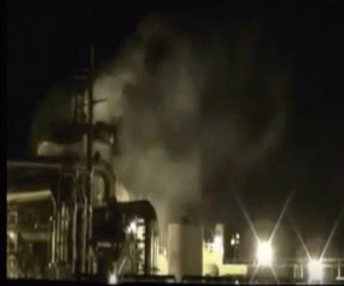 screen grab from youtube image of Dupont Plant screen grab from youtube image of Dupont Plant