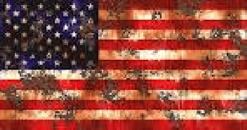 From pixabay.com: American Flag Images ? Pixabay ? Download Free Pictures960 × 504 - 269k - 