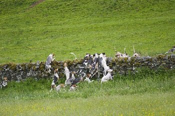 Climbing, From FlickrPhotos