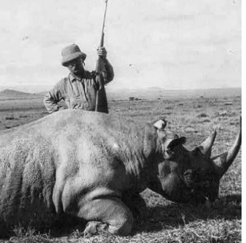 Teddy Roosevelt Loved to Kill Animals, From ImagesAttr