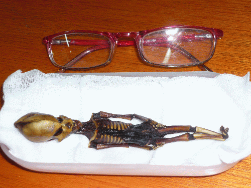 6' Mummy found in the Atacama Desert